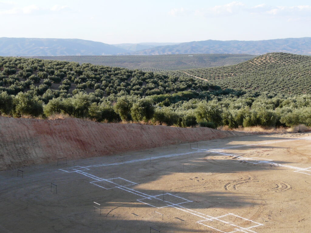 replanteo cimentación olivar jaén obra industrial paisaje arquitectura segado vmv