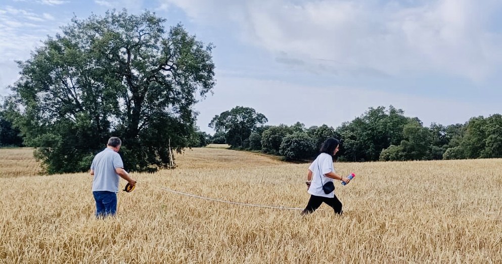 romerosa ecológica desconectada sostenible rural tierra guadalajara alcarria replanteo segado arquitectos