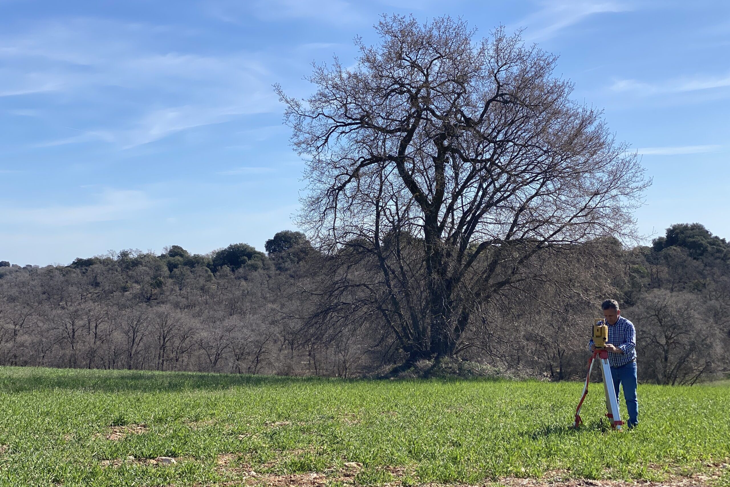 romerosa ecológica desconectada sostenible rural guadalajara alcarria replanteo segado arquitectos francisco aparejador