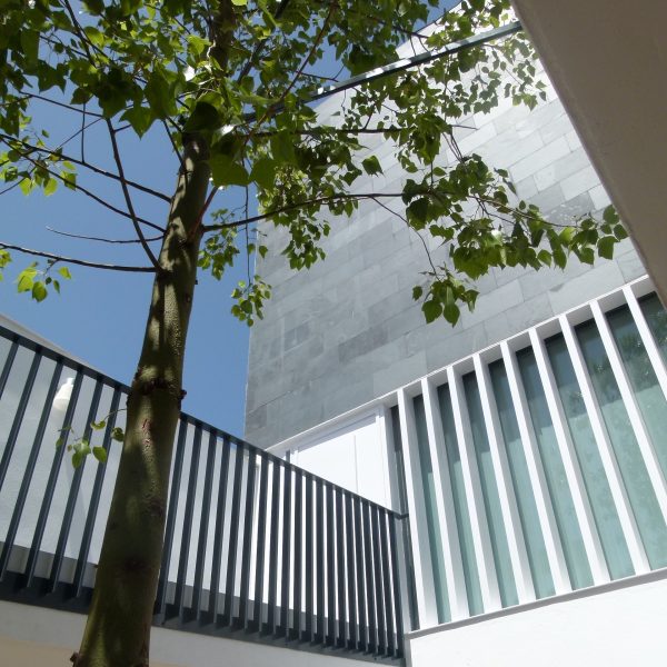diseño vivienda unifamiliar casa segado arquitectos patio árbol pasarela acceso celosía metal sombra piedra