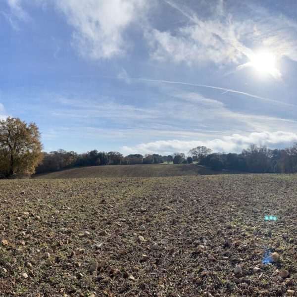romerosa ecológica desconectada sostenible rural lugar guadalajara alcarria paisaje