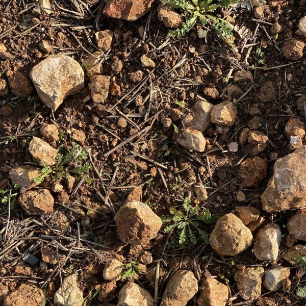 romerosa ecológica desconectada sostenible rural tierra guadalajara alcarria