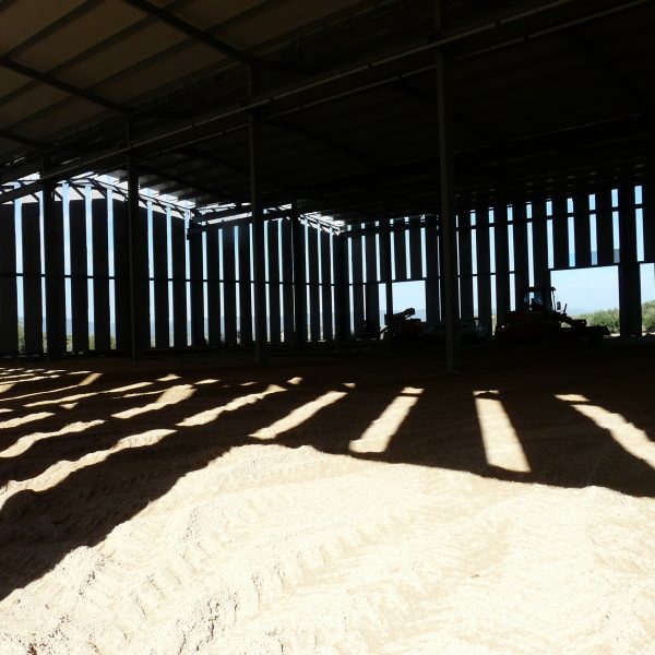 Edificio industrial en olivar de arjonilla jaén VMV segado arquitectos fachada placas prefabricadas hormigón vidrio sombras obra
