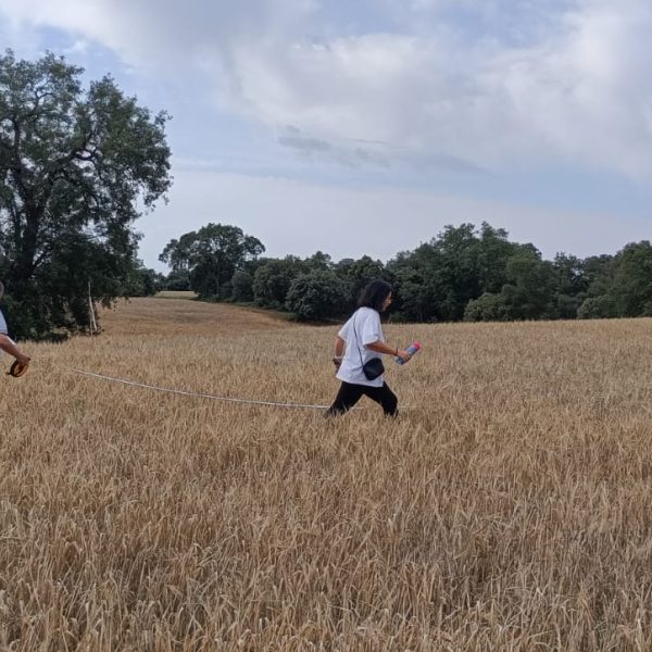 romerosa ecológica desconectada sostenible rural tierra guadalajara alcarria replanteo segado arquitectos