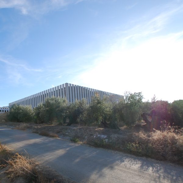 Edificio industrial en olivar de arjonilla jaén VMV segado arquitectos fachada placas prefabricadas hormigón paisaje conjunto