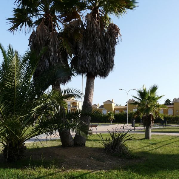 segado arquitectos francisco puerto santa maría molino viento ancla urbanización vivienda playa parque central palmeras