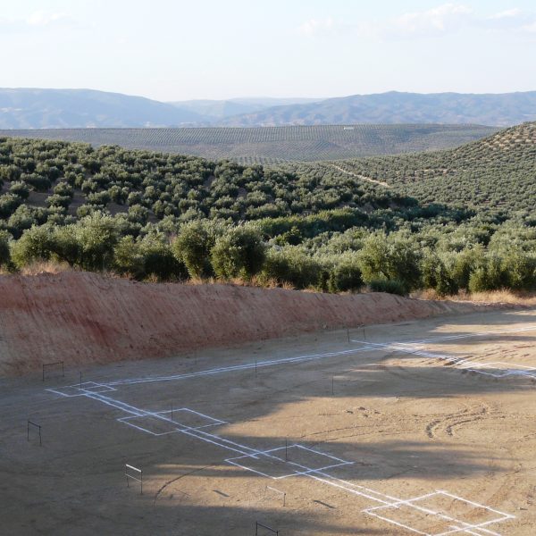replanteo cimentación olivar jaén obra industrial paisaje arquitectura segado vmv 01