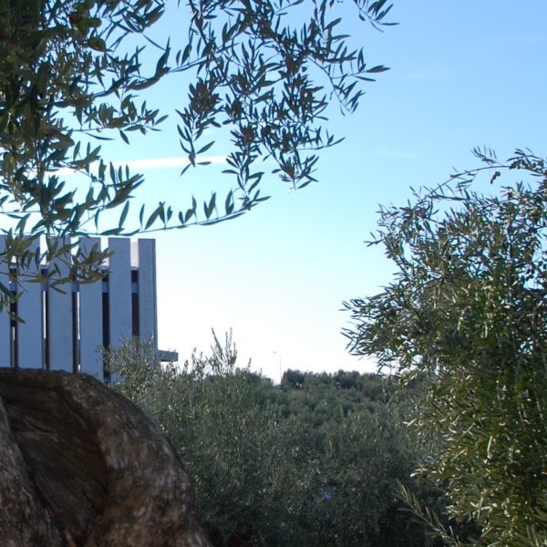 Edificio industrial arjonilla jaén VMV segado arquitectos fachada placas prefabricadas hormigón oficinas olivar